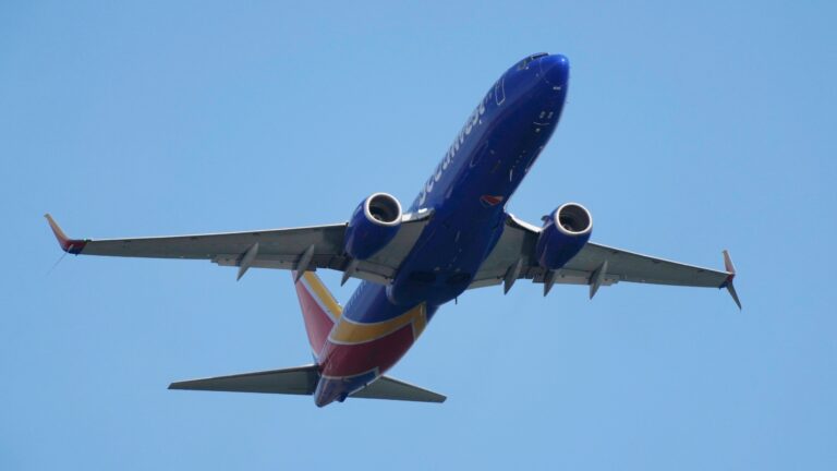 Do you agree with the Southwest rule for plus-sized passengers?