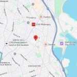 Police kill dog that mauled someone in Dorchester