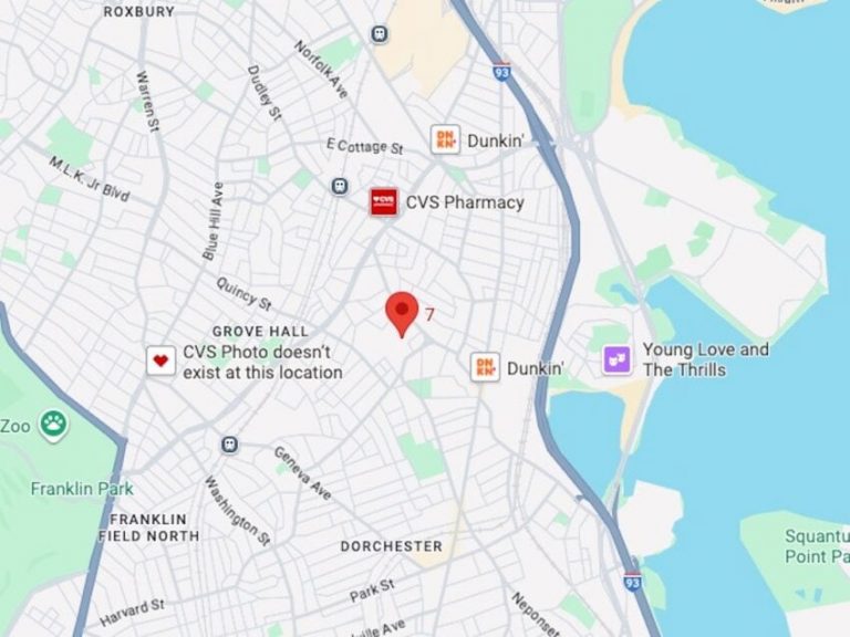 Police kill dog that mauled someone in Dorchester