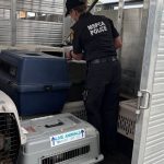 Police remove 115 animals from Mass. home, department says