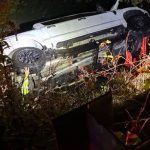 Boston man, 2 dogs rescued after truck goes into river in E. Bridgewater