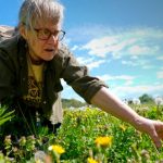 How wild food enthusiasts are reconnecting with nature