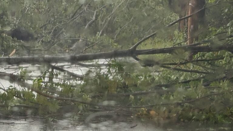 Tornado confirmed in Mass. town during Saturday’s powerful storm