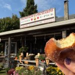 6 New England cider doughnut spots and why you should go there