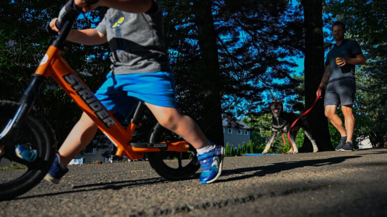 Construction resumes on Cambridge bike path after temporary halt prompted by residents’ legal complaint