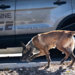 Suspected explosive device prompts Wyoming Capitol evacuation