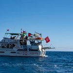 Mass. man aboard Gaza aid flotilla arrested by Israeli forces