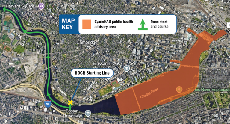 Head of the Charles won’t be affected by bacteria bloom, officials say