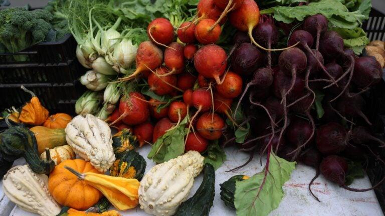 How and why to support winter farmers markets around in Mass.