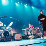 Boston believes in the power of Geese