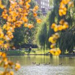 What Bostonians are listening to in the Common right now