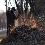 Your questions about ‘Leaving the Leaves’ in your yard answered