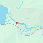 Grizzly attacks schoolchildren and teachers on a walking trail in Canada, injuring 11