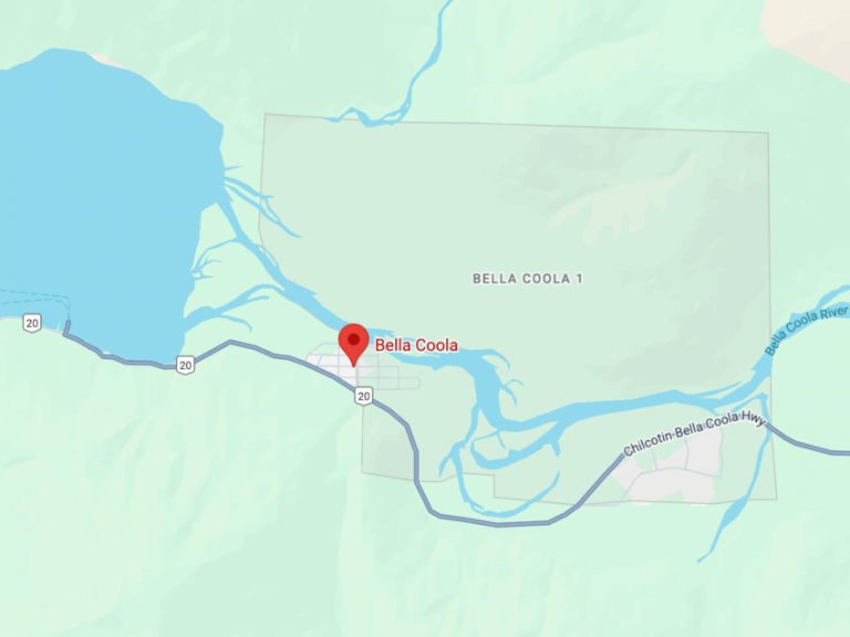 Grizzly attacks schoolchildren and teachers on a walking trail in Canada, injuring 11