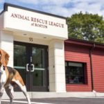 Boston animal shelter organization receives $2 million construction donation