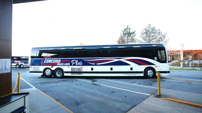 NY man crawled onto roof of moving bus and then fell off in Maine